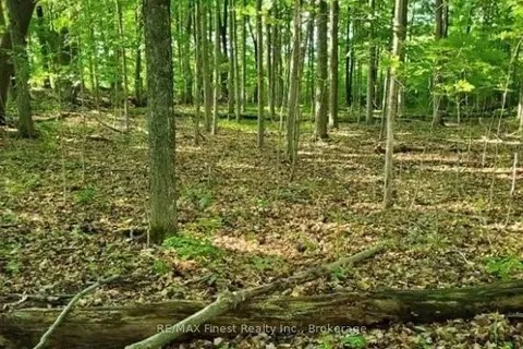 LOT 43 COUNTY ROAD 6, Stone Mills, ON K0K 1Z0