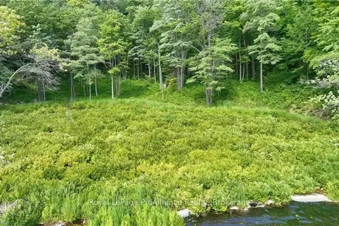 1245 MCCONVILLE Lane, South Frontenac, ON K0H 2T0