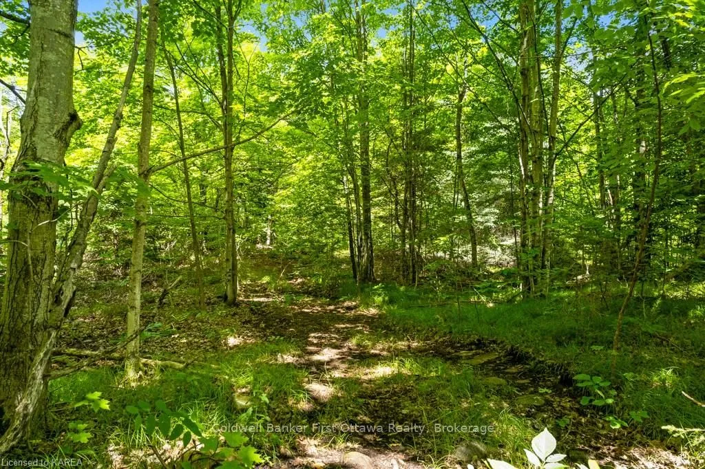 17146 ROAD 509, Central Frontenac, ON K0H 2P0