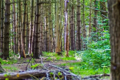 PT LT 8 RYMER Rd, ON N0A 1K0