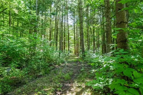 PT LT 8 RYMER Rd, ON N0A 1K0