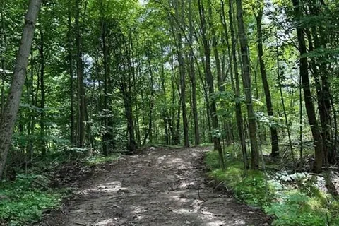 1121 BREWER Rd, Central Frontenac, ON K0H 2P0