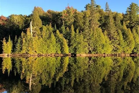 1456 BEAVER VALLEY Tr, Highlands East, ON K0L 3C0