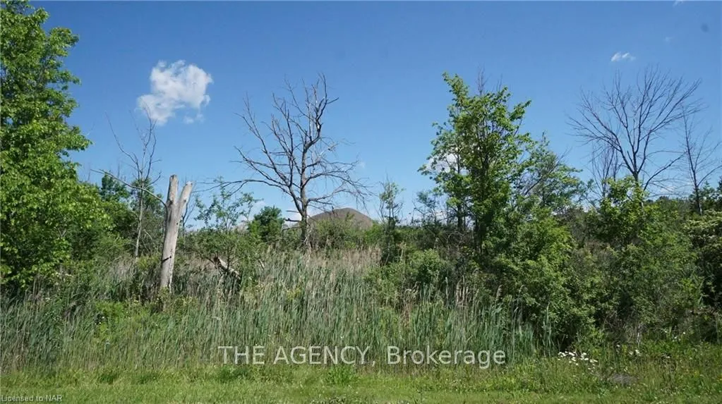 26 SHAW St, Welland, ON L3B 5W8