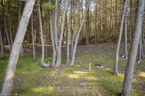3499 DELORO Rd, Madoc, ON K0K 1Y0