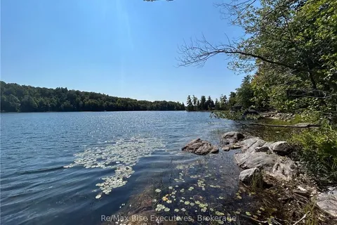 341 STEVE BABCOCK Lane, South Frontenac, ON K0H 1W0