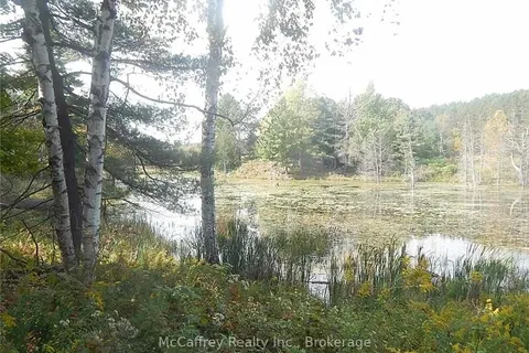 2970 MOUNTAIN Rd, Stone Mills, ON K0K 1Z0