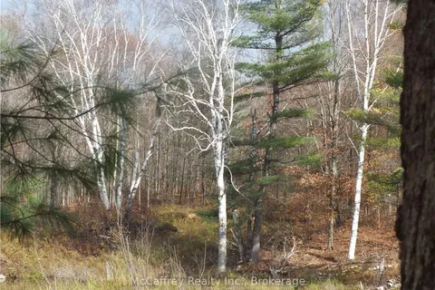 2970 MOUNTAIN Rd, Stone Mills, ON K0K 1Z0