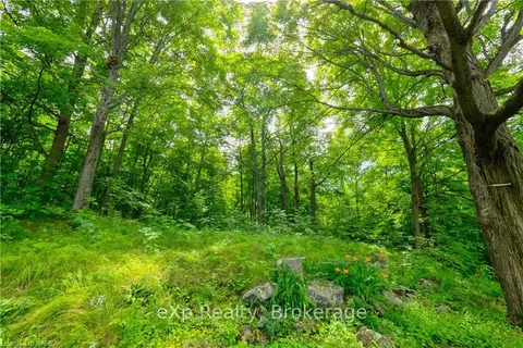 13698 ROAD 38, Central Frontenac, ON K0H 2P0