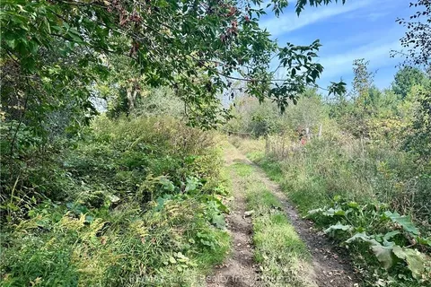 PT LT G CONCESSION GORE, Stone Mills, ON K0K 0C4