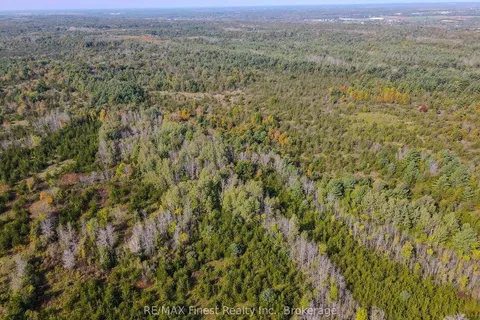 PT LT G CONCESSION GORE, Stone Mills, ON K0K 0C4