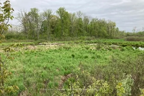 PT LT 4 CONCESSION Rd, Stone Mills, ON K0K 1Z0