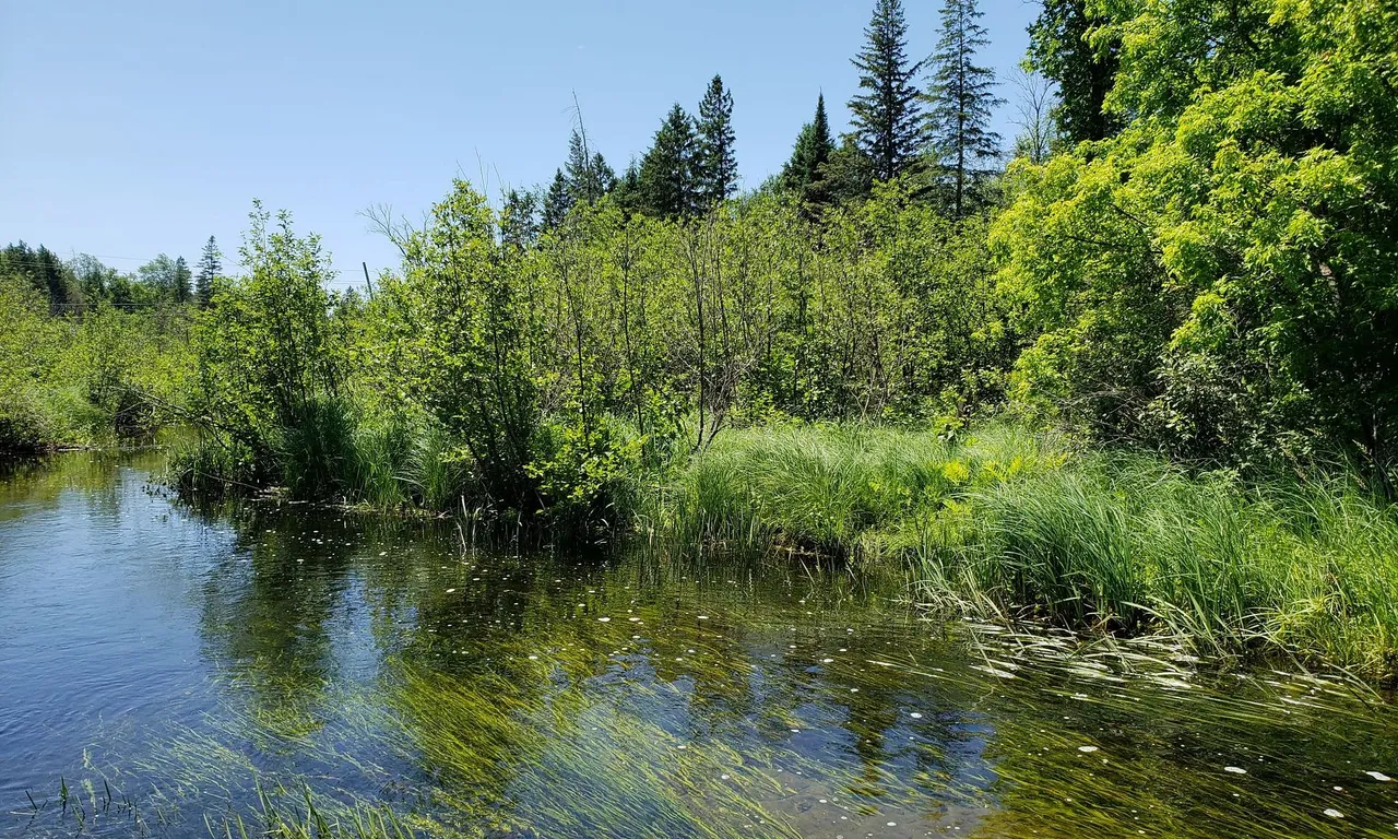 15572 Highway 17, Whitewater Region, ON K0J 1Y0