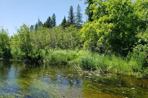 15572 Highway 17, Whitewater Region, ON K0J 1Y0