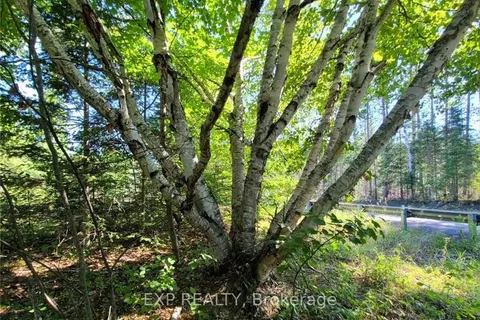 Pt Lt 8 OLD BARRYS BAY Rd, Madawaska Valley, ON K0J 1L0