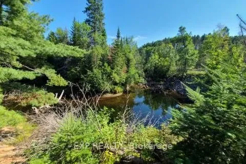 Pt Lt 8 OLD BARRYS BAY Rd, Madawaska Valley, ON K0J 1L0