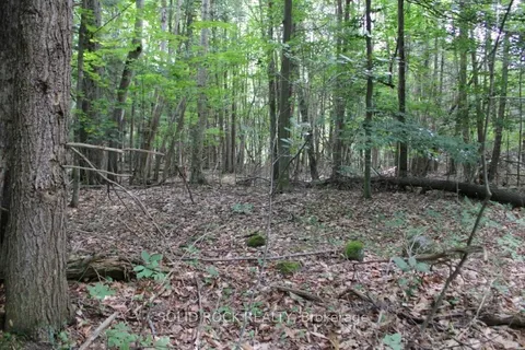 2209 JOCHEM Rd, Edwardsburgh/Cardinal, ON K0G 1T0