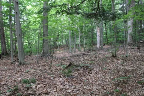 2209 JOCHEM Rd, Edwardsburgh/Cardinal, ON K0G 1T0