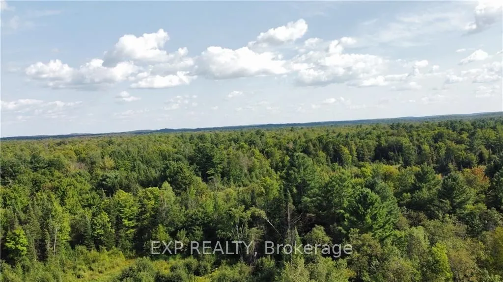 70 BANNOCKBURN Rd, Madoc, ON K0K 1Y0