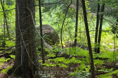 20 PEPLINSKIE HOMESTEAD Rd, Madawaska Valley, ON K0J 2N0