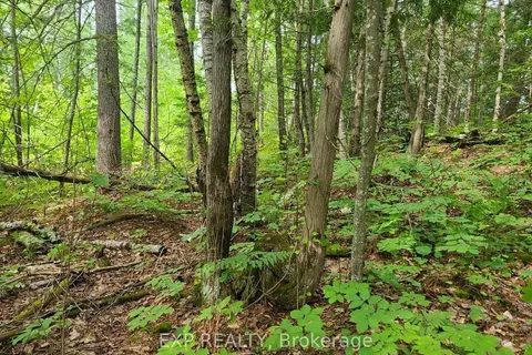 20 PEPLINSKIE HOMESTEAD Rd, Madawaska Valley, ON K0J 2N0