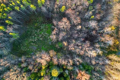 0000 NORTH LUNENBURG Rd, South Stormont, ON K0C 1R0