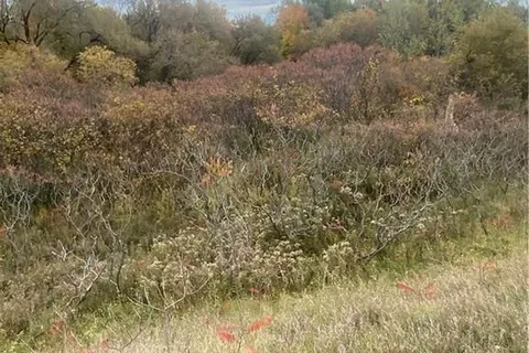 0 COUNTY RD 2 Rd, Cramahe, ON K0K 1H0