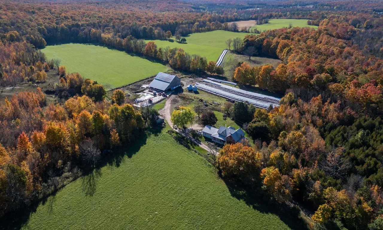 602446 Sideroad 8, Chatsworth, ON N0H 2V0