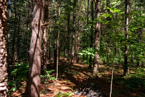 777215 Highway 10 N/A, Chatsworth, ON N0H 1R0