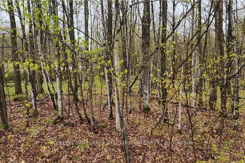 Lot 15 HOLLIE Drive, Lanark Highlands, ON K0G 1M0