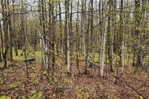 Lot 15 HOLLIE Drive, Lanark Highlands, ON K0G 1M0