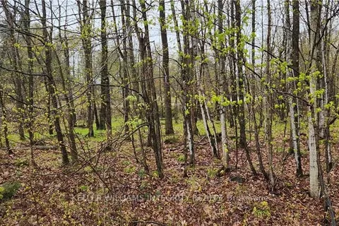 Lot 15 HOLLIE Drive, Lanark Highlands, ON K0G 1M0