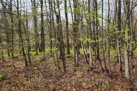 L 10/11 HOLLIE Drive, Lanark Highlands, ON K0G 1M0