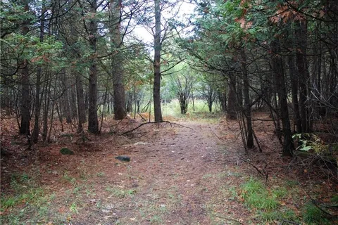 0 NORTH St, Lanark Highlands, ON K0G 1K0