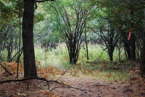 0 NORTH St, Lanark Highlands, ON K0G 1K0