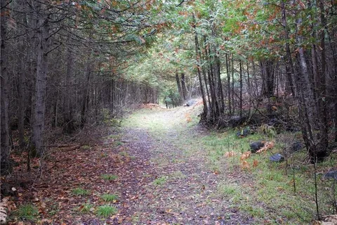 0 NORTH St, Lanark Highlands, ON K0G 1K0