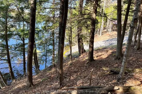 131 SHADY MAPLE Rd, McNab/Braeside, ON K0J 1G0