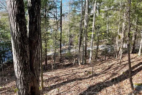 141 SHADY MAPLE Rd, McNab/Braeside, ON K0J 1G0