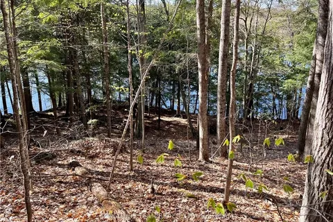 141 SHADY MAPLE Rd, McNab/Braeside, ON K0J 1G0