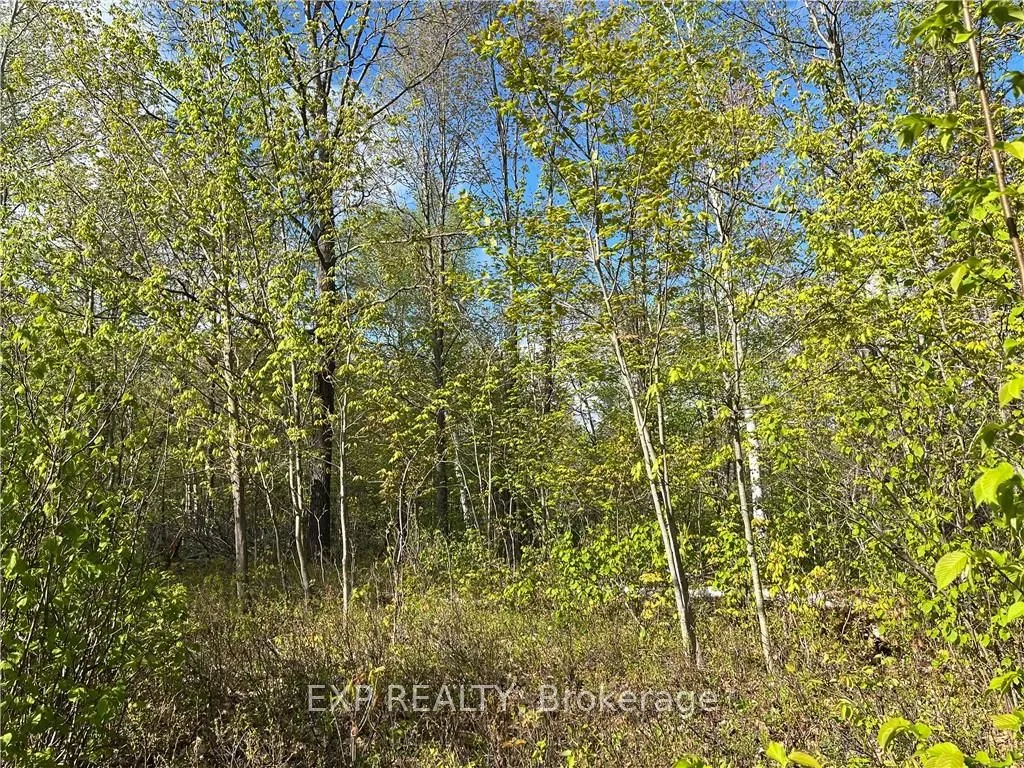 Lot 6 CASSON Tr, Madawaska Valley, ON K0J 1B0