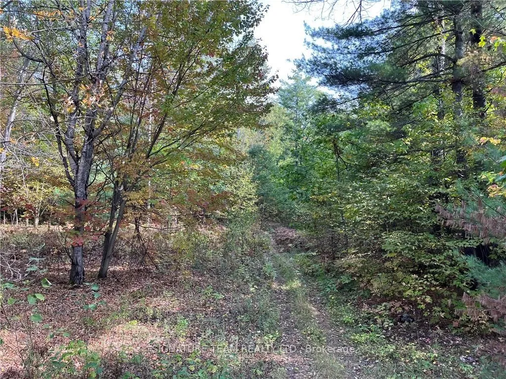 0 CONSTANT LAKE Rd, Bonnechere Valley, ON K0J 1T0