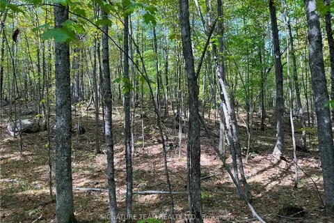 0 CONSTANT LAKE Rd, Bonnechere Valley, ON K0J 1T0