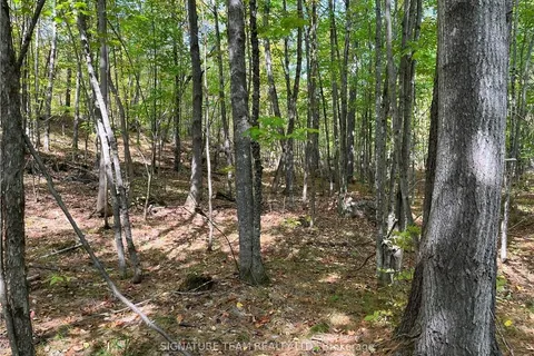 0 CONSTANT LAKE Rd, Bonnechere Valley, ON K0J 1T0