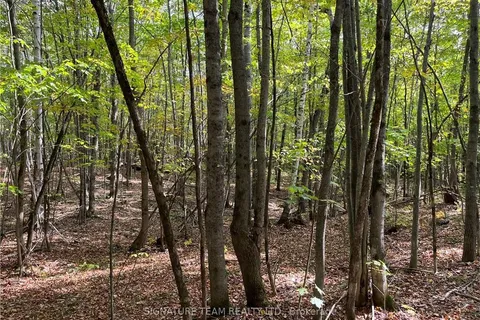 0 CONSTANT LAKE Rd, Bonnechere Valley, ON K0J 1T0