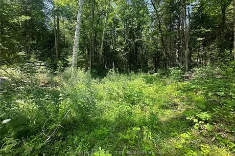 0 MOUNT SAINT PATRICK Rd, Admaston/Bromley, ON K0J 1N0