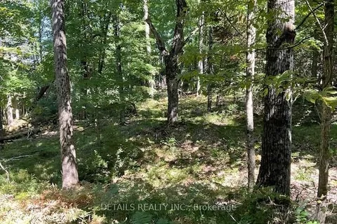 1279 CON 12, Tay Valley, ON K0G 1K0