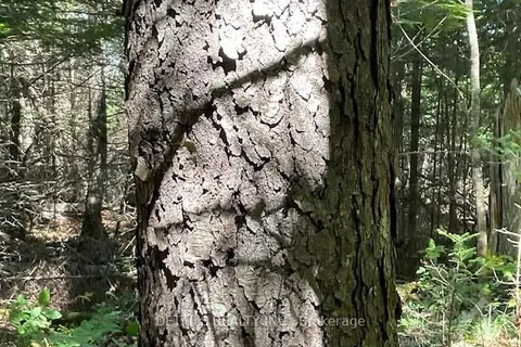 1279 CON 12, Tay Valley, ON K0G 1K0