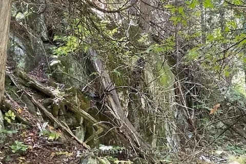 1279 CON 12, Tay Valley, ON K0G 1K0