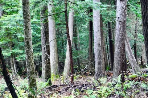 PT LT 1 CONCESSION 11 Rd, Drummond/North Elmsley, ON K0G 1K0