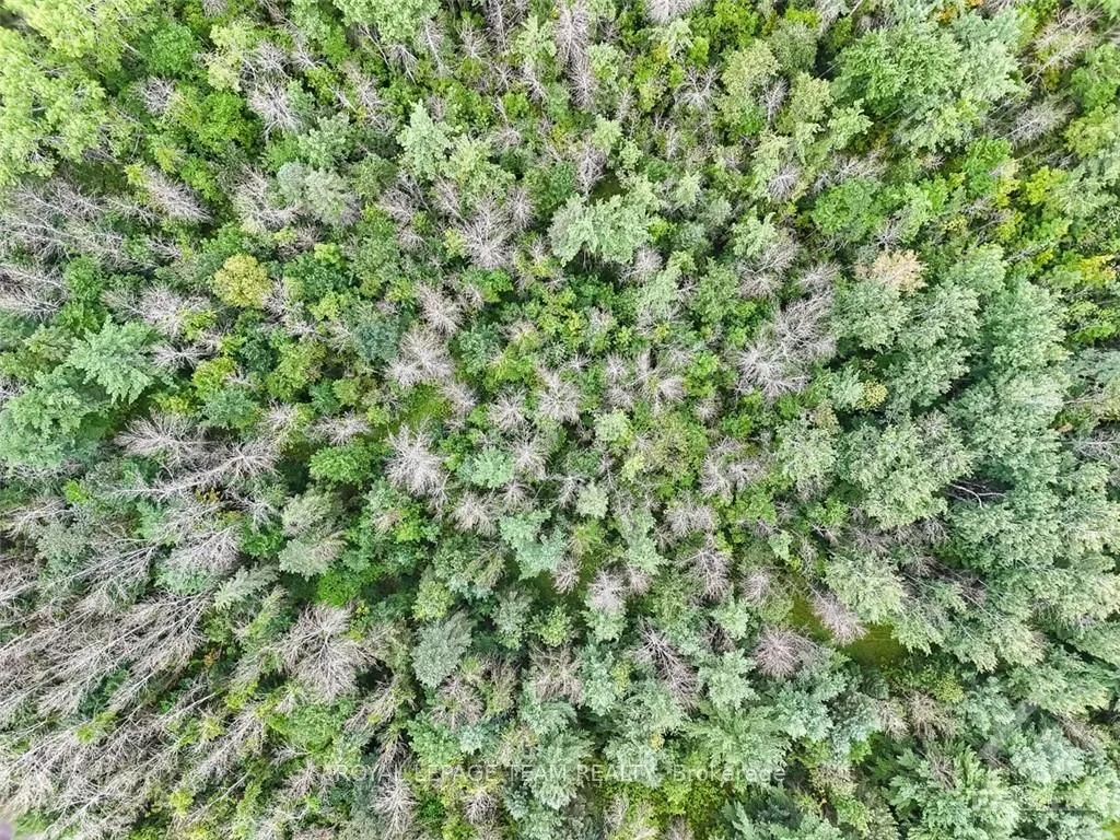 00 MCNEILL Road, ON K0A 1G0